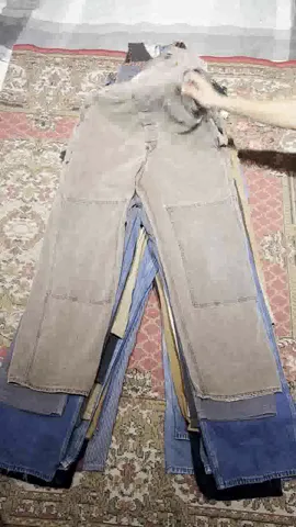 Carhartt & Dickies Bib/Dungaree/Overall